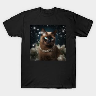 Magical Burmese Cat T-Shirt